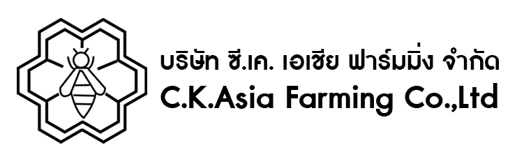 logo 2568